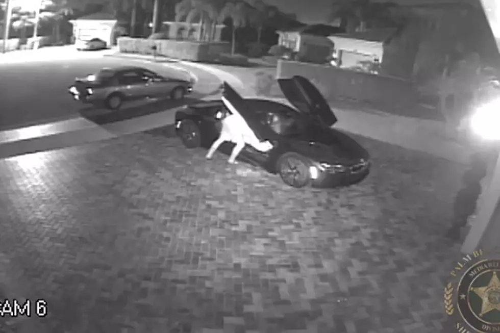 Bumbling Burglar Trips Over His Own Pants During Escape